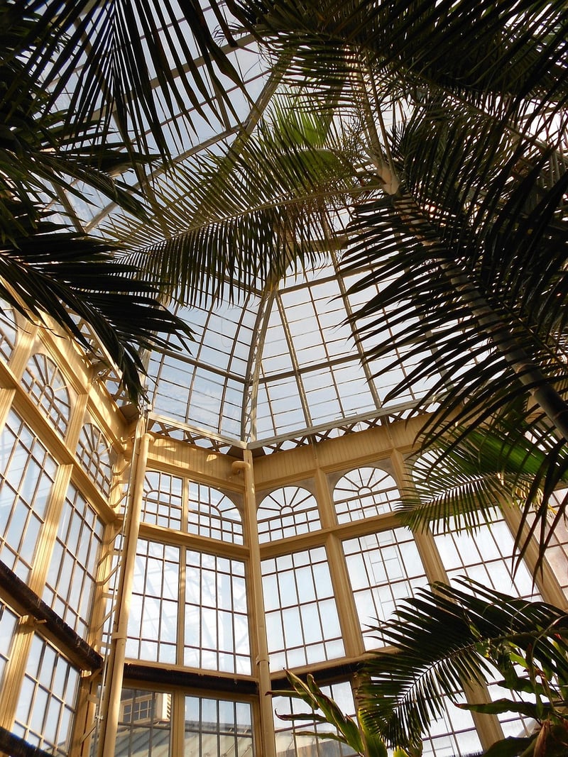 Botanical Conservatory